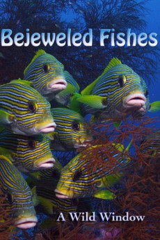 Wild Window: Bejeweled Fishes (2016) download
