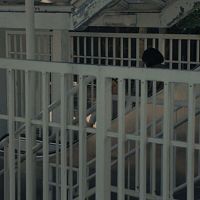 Click to enlarge Image error